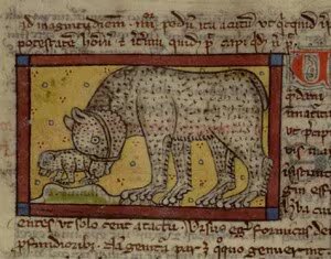 Una investigación de la Universidad de Cardiff y la Universidad de Nottingham concluyó que las peleas de osos con perros ya eran un entretenimiento establecido en Inglaterra durante el siglo XII (Gentileza, estudio Los orígenes de las peleas de osos: evidencia de la Inglaterra y Francia medievales, publicado en Society & Animals)