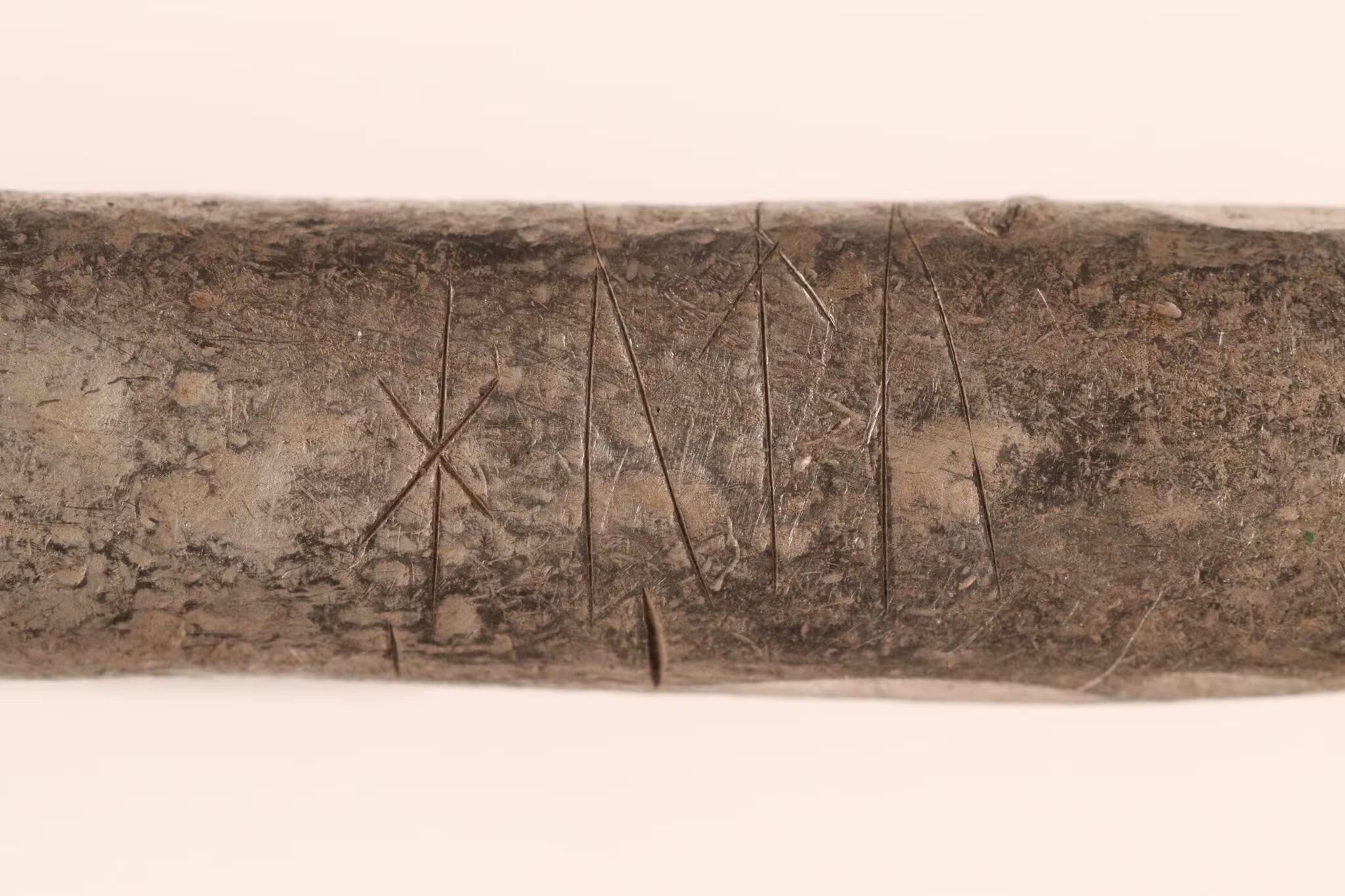 El tesoro de la Era Vikinga incluye barras de plata, brazaletes, 47 monedas enteras, fragmentos de otras monedas y un pequeño martillo de Thor - Gentileza: Museos del Norte de Jutlandia / Nordjyske Museer