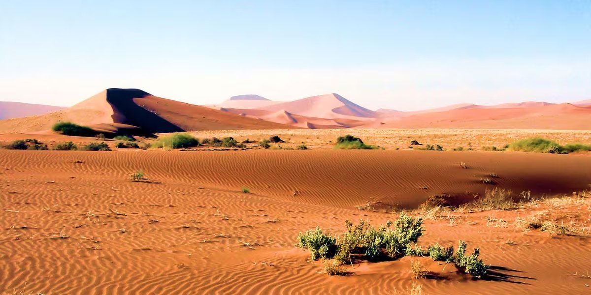 Las arenas de tonalidad naranja del Parque Nacional Namib-Naukluft forman dunas que superan los 300 metros de altura