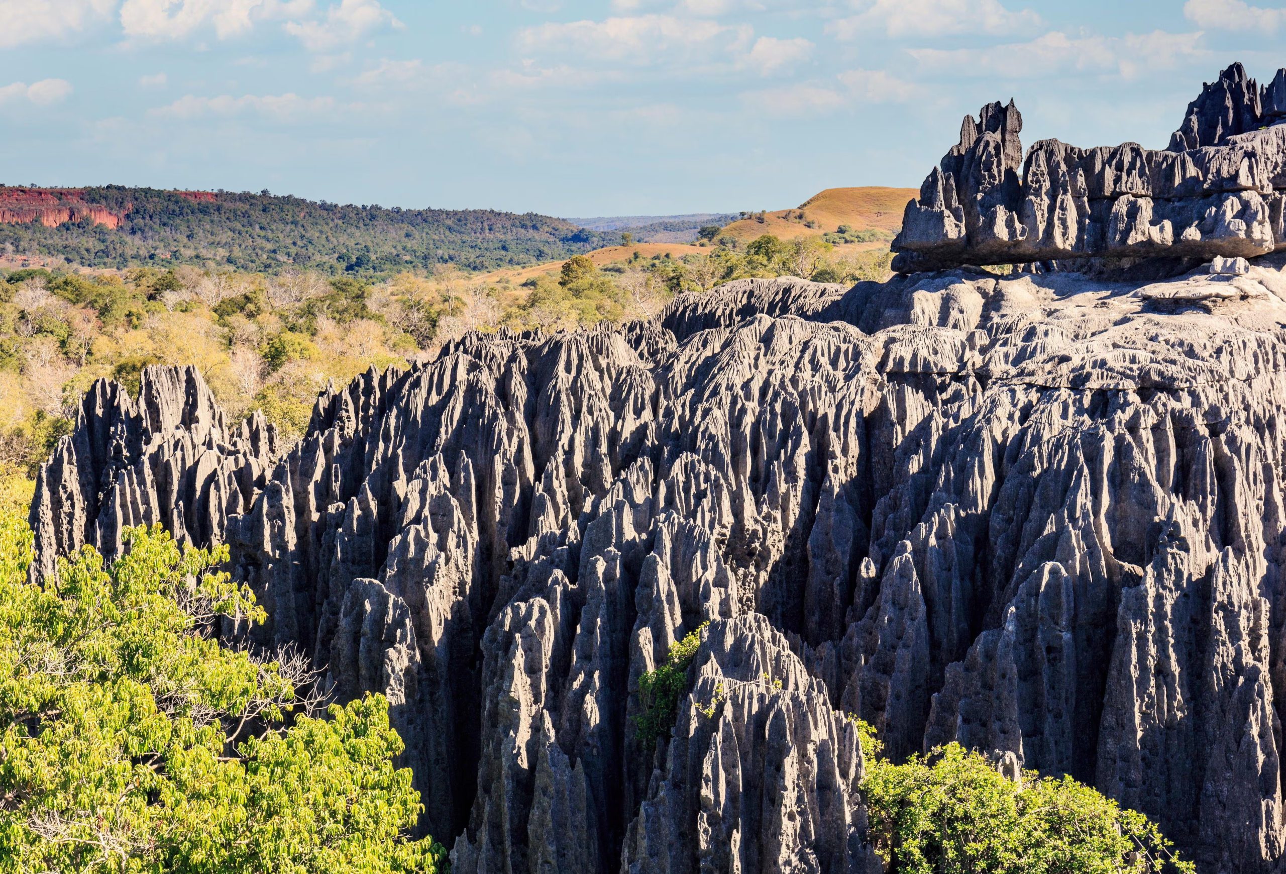 Las formaciones de piedra caliza del Tsingy de Bemaraha crean un entramado de agujas, grietas y paredes rocosas
