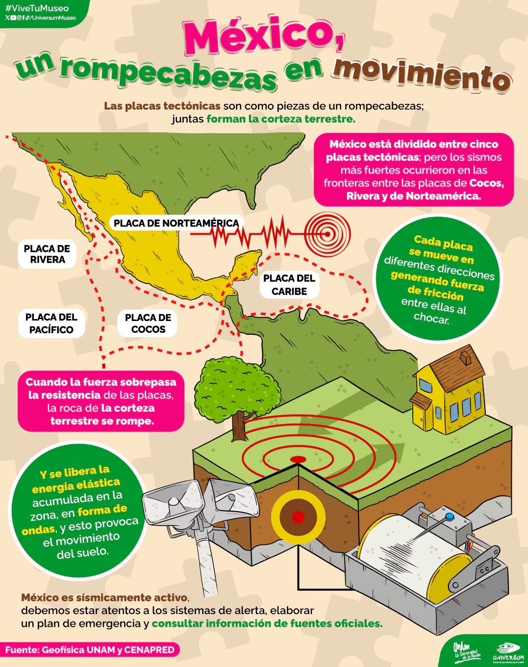 Estas son las placas tectónicas en México (Crédito: X/@UniversumMuseo)