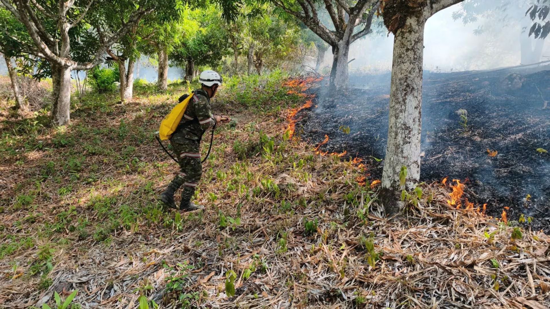 Alcaldías, gobernaciones, el Gobierno nacional, la Unidad Nacional para la Gestión del Riesgo de Desastres y demás instituciones siguen trabajando para controlar el fuego - crédito Ungrd 