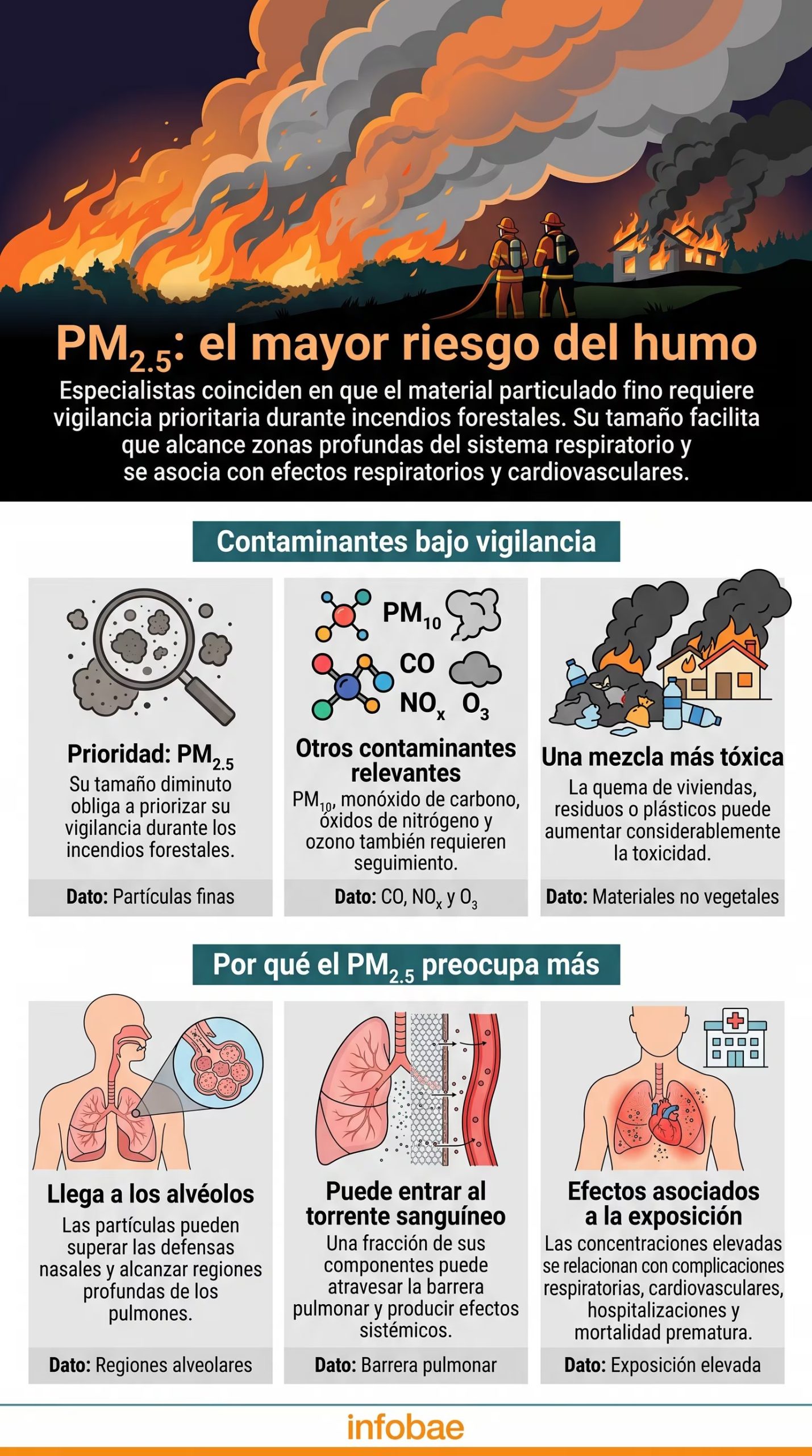 Óscar Arnulfo Fajardo señaló que es por su principal tamaño y capacidad de infiltración en el organismo - crédito Imagen Ilustrativa Infobae