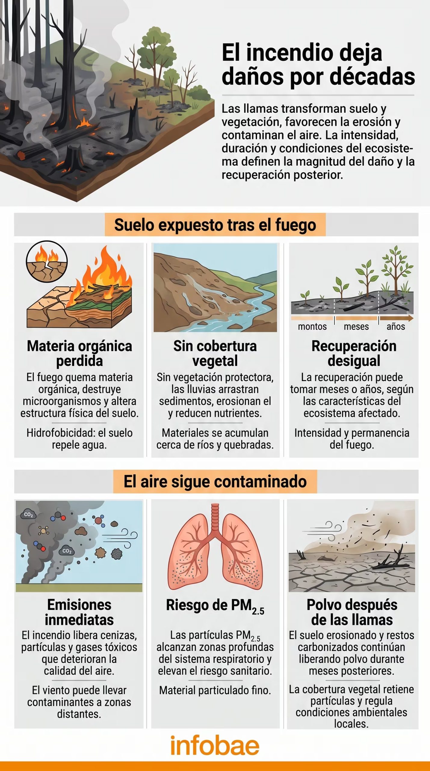 Diego Fernando Becerra explicó que la pérdida de vegetación deja el suelo sin protección frente a las lluvias - crédito Imagen Ilustrativa Infobae
