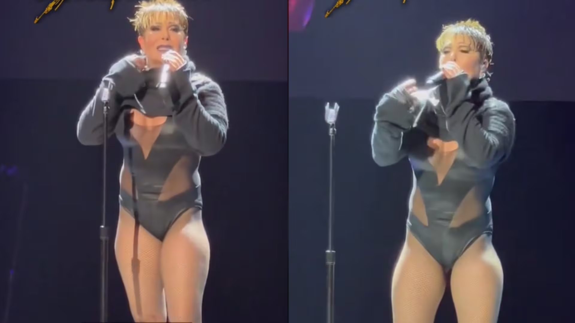 Alejandra Guzmán causa escándalo por mostrar sus piernas y cadera en concierto: “cicatrices de guerra”
(Fotos: Tiktok/@joseguzman2401)