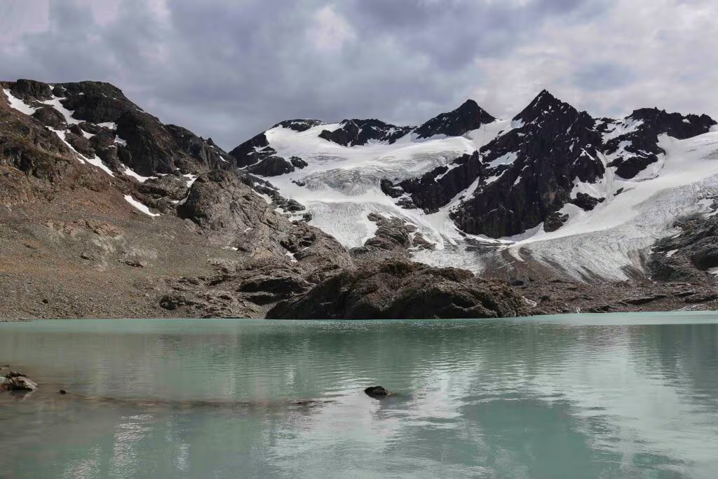La especie se instaló en Tierra del Fuego y alcanzó los 30 millones de ejemplares (Secretaría de Turismo de Ushuaia)