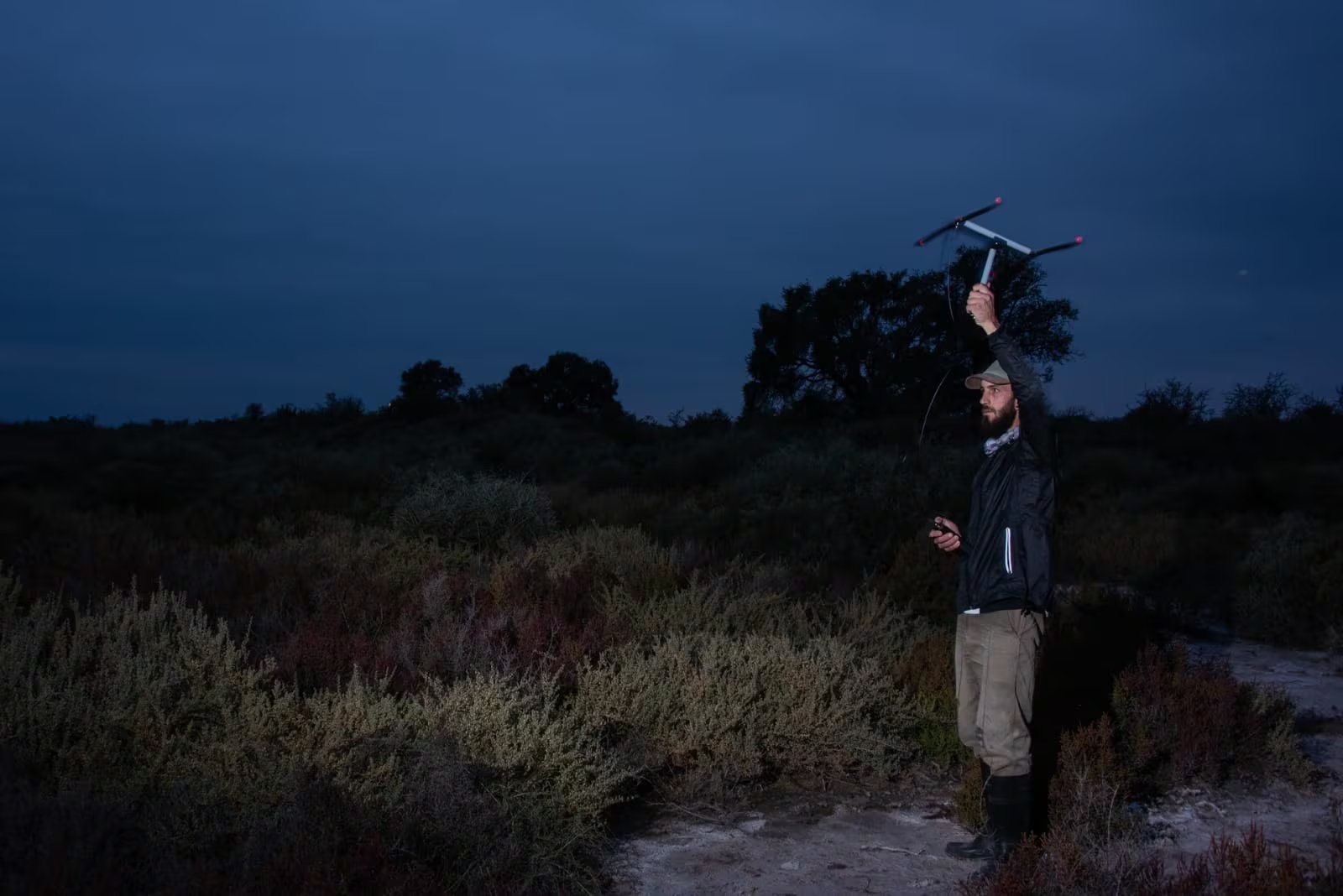 La vegetación de palo azul y jume negro ofrece cobertura y refugio a los animales durante los primeros días de vida. (Ezequiel Vivas/ Aves Argentinas)