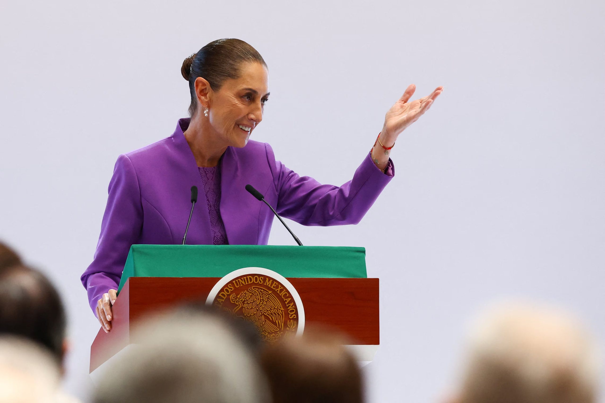 Thelma Islas Lagunas habría diseñado la prenda de la presidenta

REUTERS/Daniel Becerril