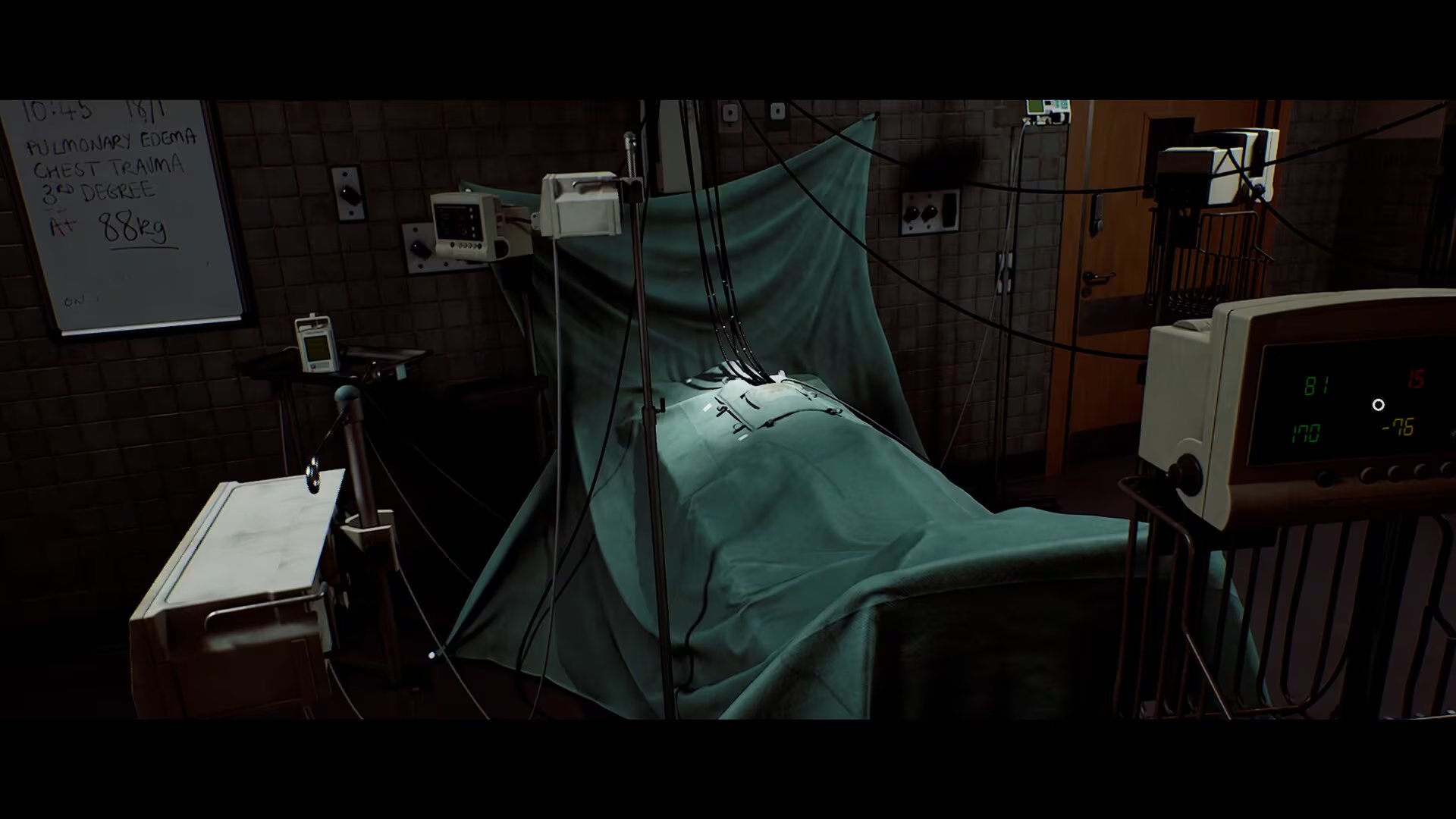 Silent Hill: Townfall, de Screen Burn.