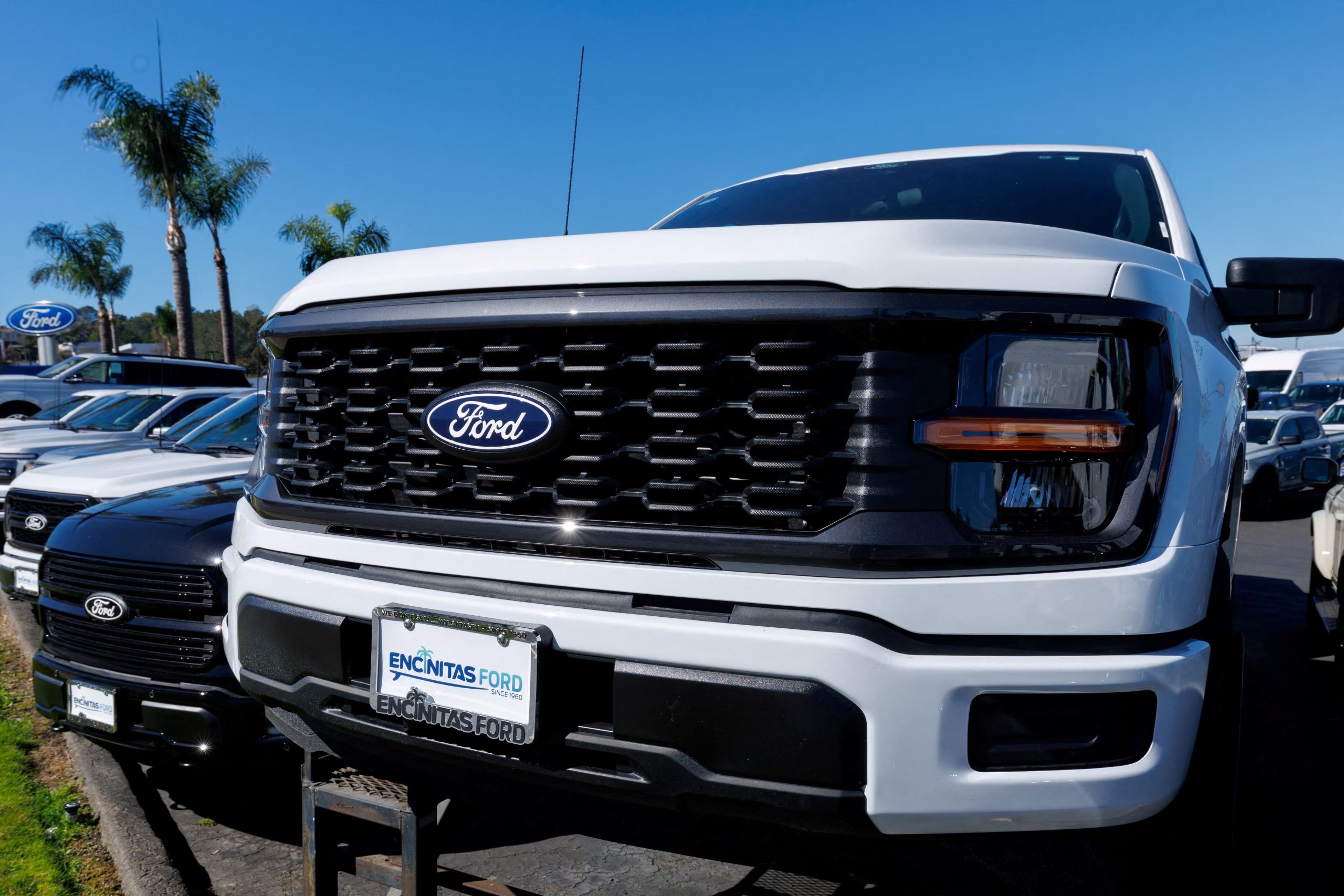 Ford retiró del mercado 223.472 camionetas F-150 de los años modelo 2023 a 2027 por un defecto en las correas del tanque de combustible (REUTERS/Mike Blake/File Photo)