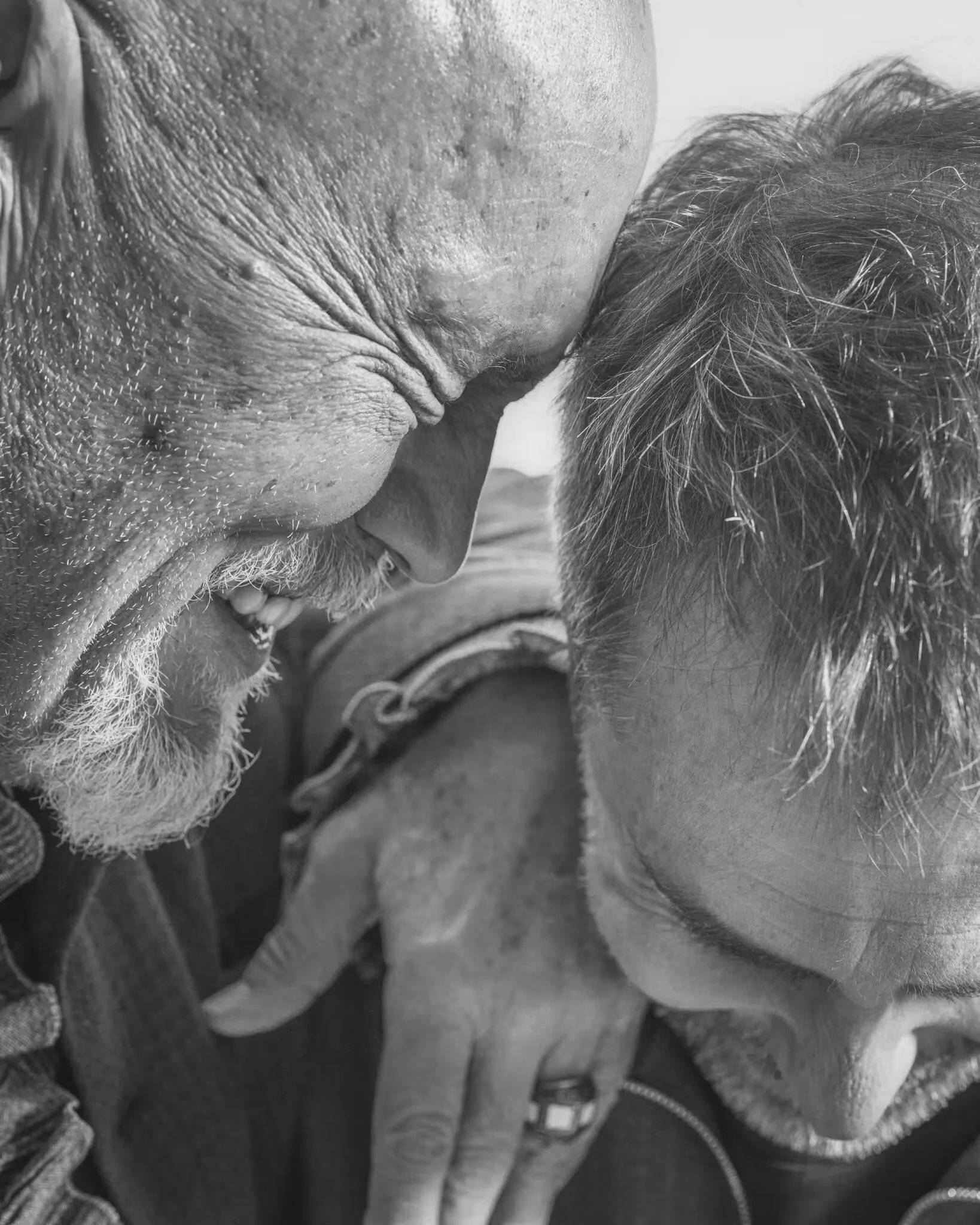 La leyenda cinematográfica es poderosa en John Malkovich y Sam Rockwell