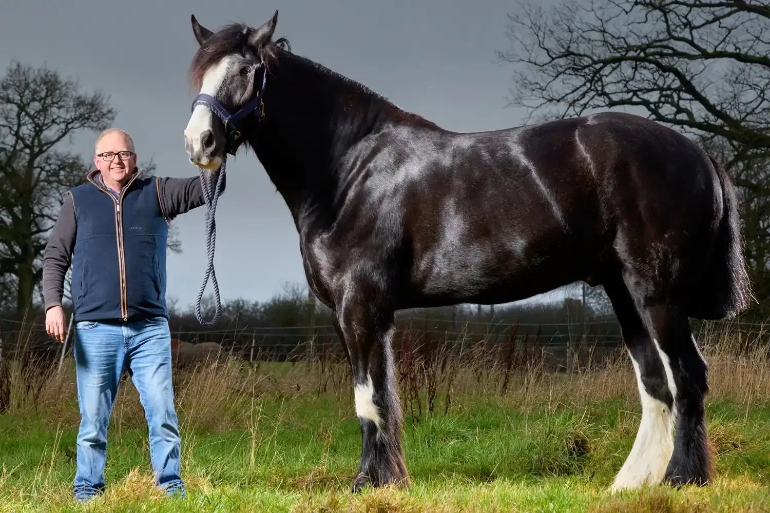  Con cuatro años, Hugo todavía se encuentra en etapa de desarrollo y sus cuidadores monitorean de cerca su crecimiento. (Guinness World Records)