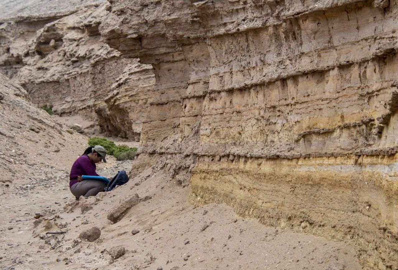 Los investigadores identificaron fósiles de peces de agua dulce y gaviales en los mismos sedimentos, lo que confirma la presencia de agua dulce en la zona