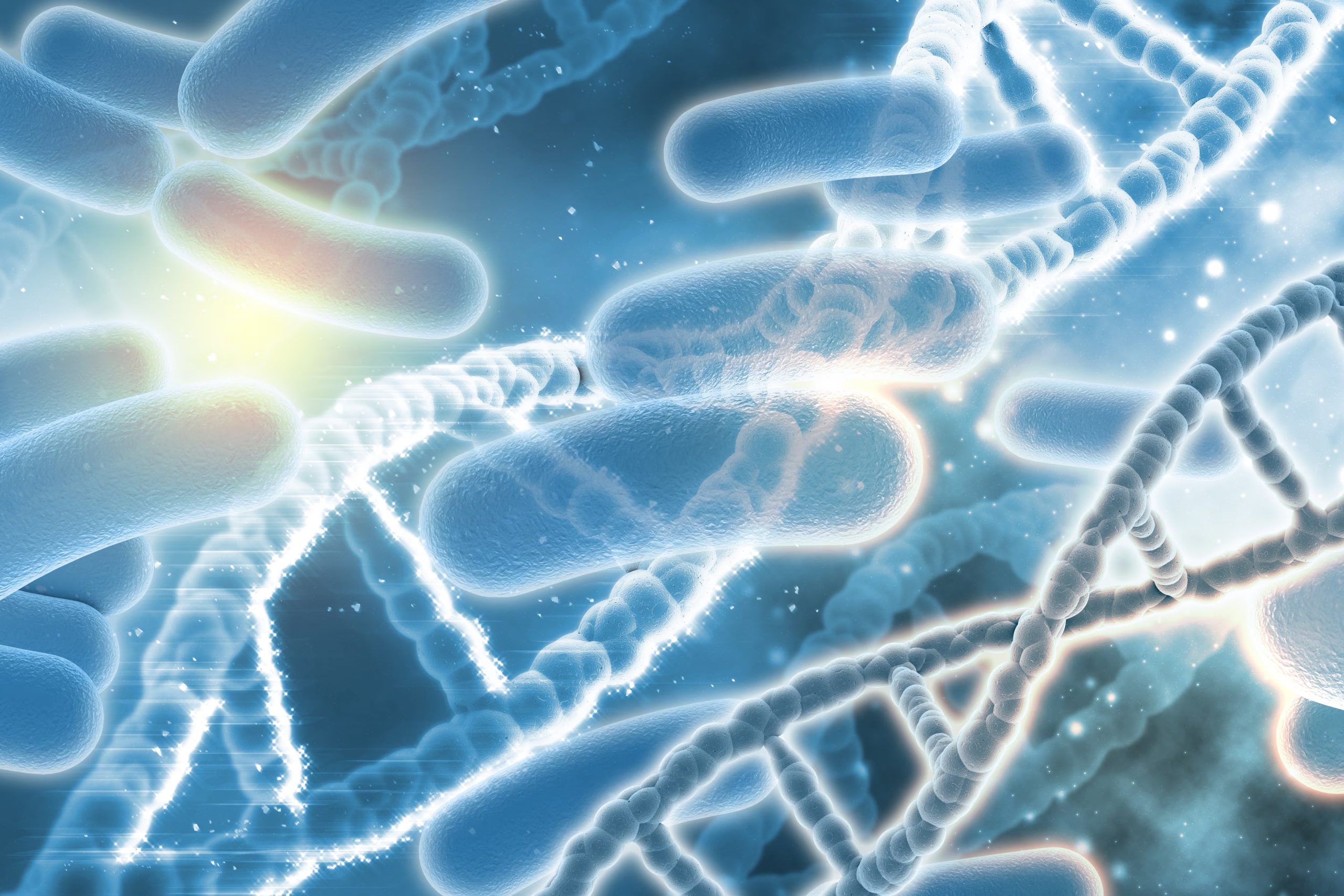 Microbiota intestinal (Magnific)