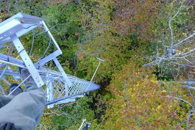 El equipo midió durante dos décadas el intercambio de carbono con una torre instalada en un bosque maduro de Nuevo Hampshire. (Northern Arizona University)