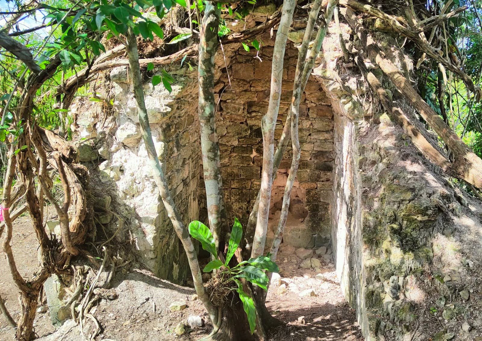 Un hallazgo arquitectónico abre una nueva investigación sobre los gobernantes mayas de la región Río Bec. (Secretaría de Cultura)