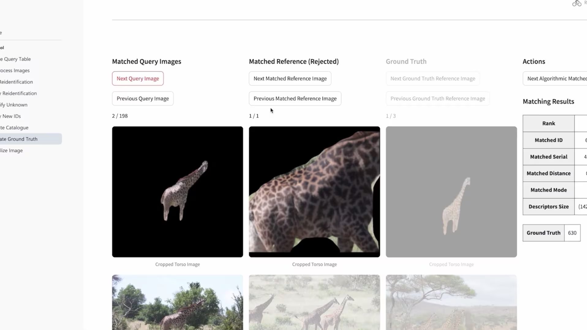 Desarrollada por Microsoft AI for Good Lab junto con el Wild Nature Institute, analiza fotografías para reconocer a cada animal por el patrón único de sus manchas. (Microsoft)