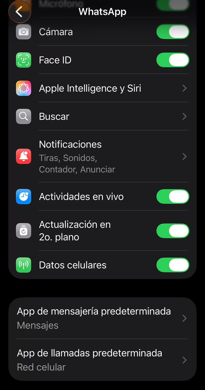 El menú de ajustes de un dispositivo móvil presenta las opciones de permisos y accesos para la aplicación de mensajería WhatsApp. (Apple)