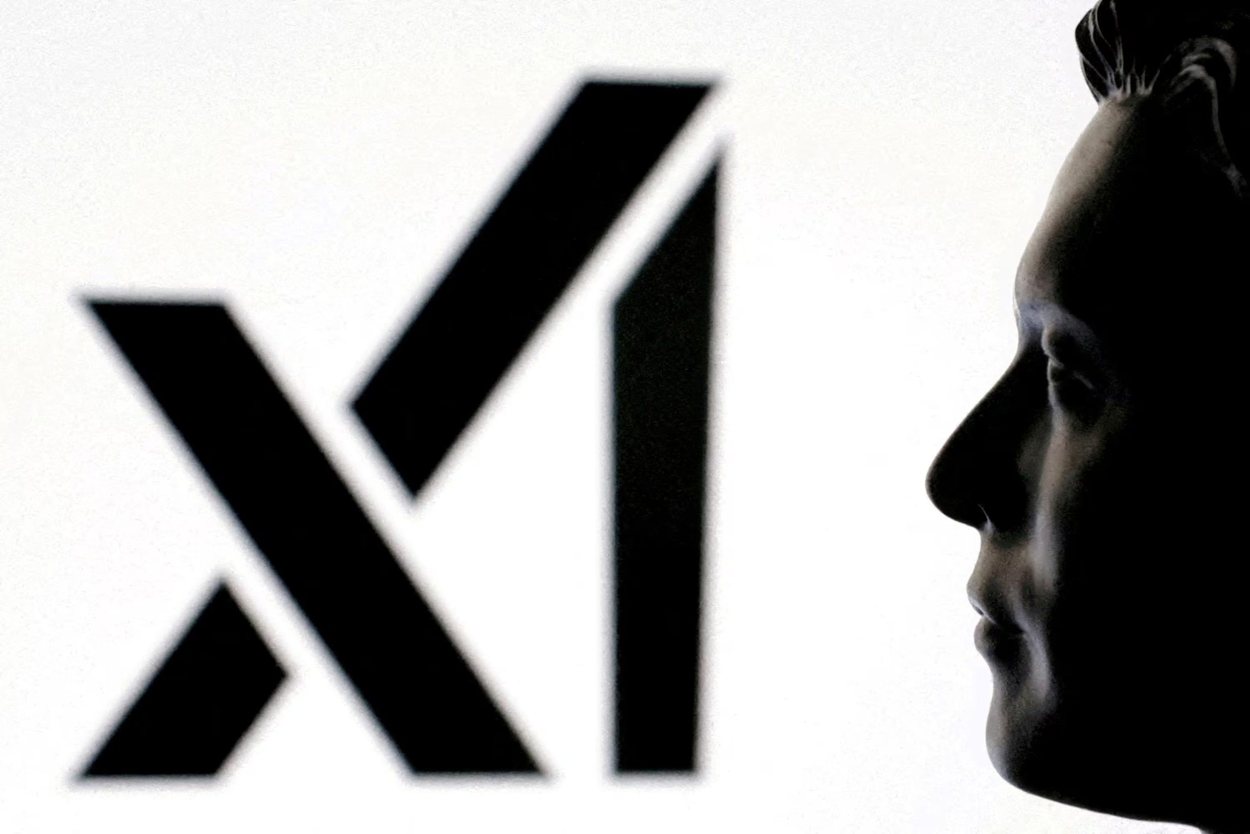 La nueva función indica si un contenido fue bloqueado o retenido en un territorio por una solicitud legal local. REUTERS/Dado Ruvic/Illustration/File Photo