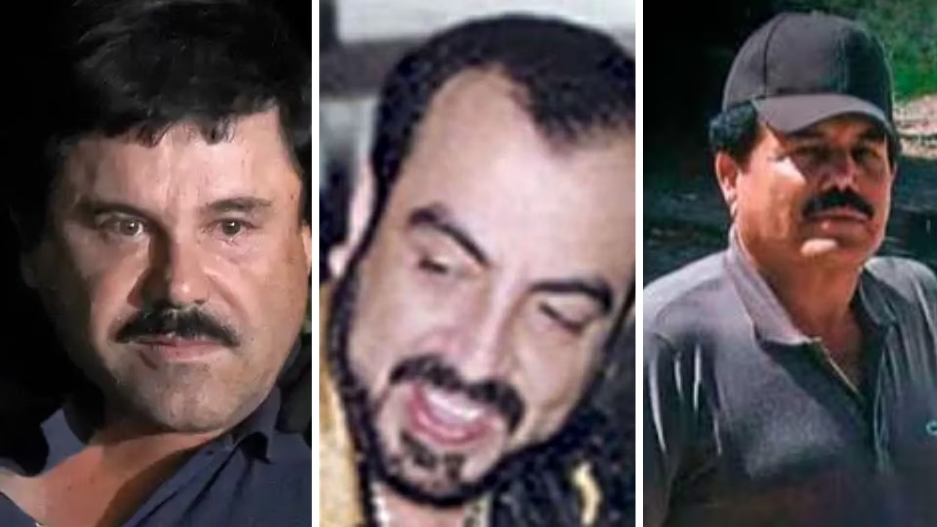 En medio de la guerra entre los Beltrán Leyva y El Chapo y El Mayo, los gemelos decidieron cooperar con EEUU. (Infobae)