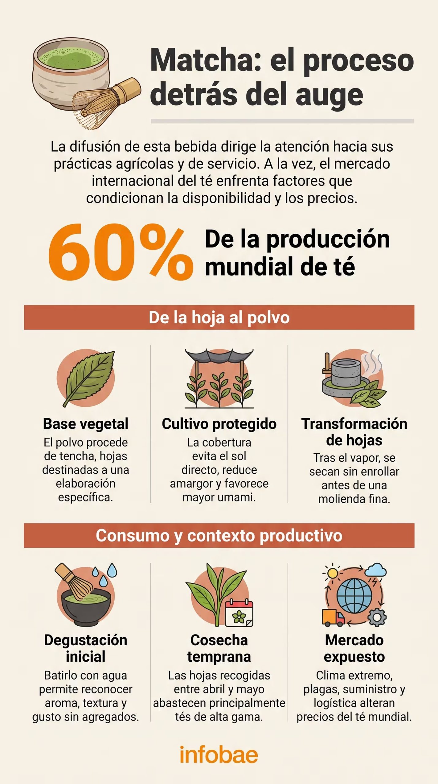 El matcha amplía su presencia en cafeterías, recetas y redes sociales. (Imagen Ilustrativa Infobae)