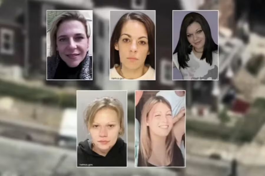 Amy McHale, Maribel Fresses, Nicole Fusaro, Blair Tonzelli y Gabrielle Amarando, cinco mujeres desaparecidas vinculadas por los investigadores a la casa de los Horsch (Captura de video: ABC7).