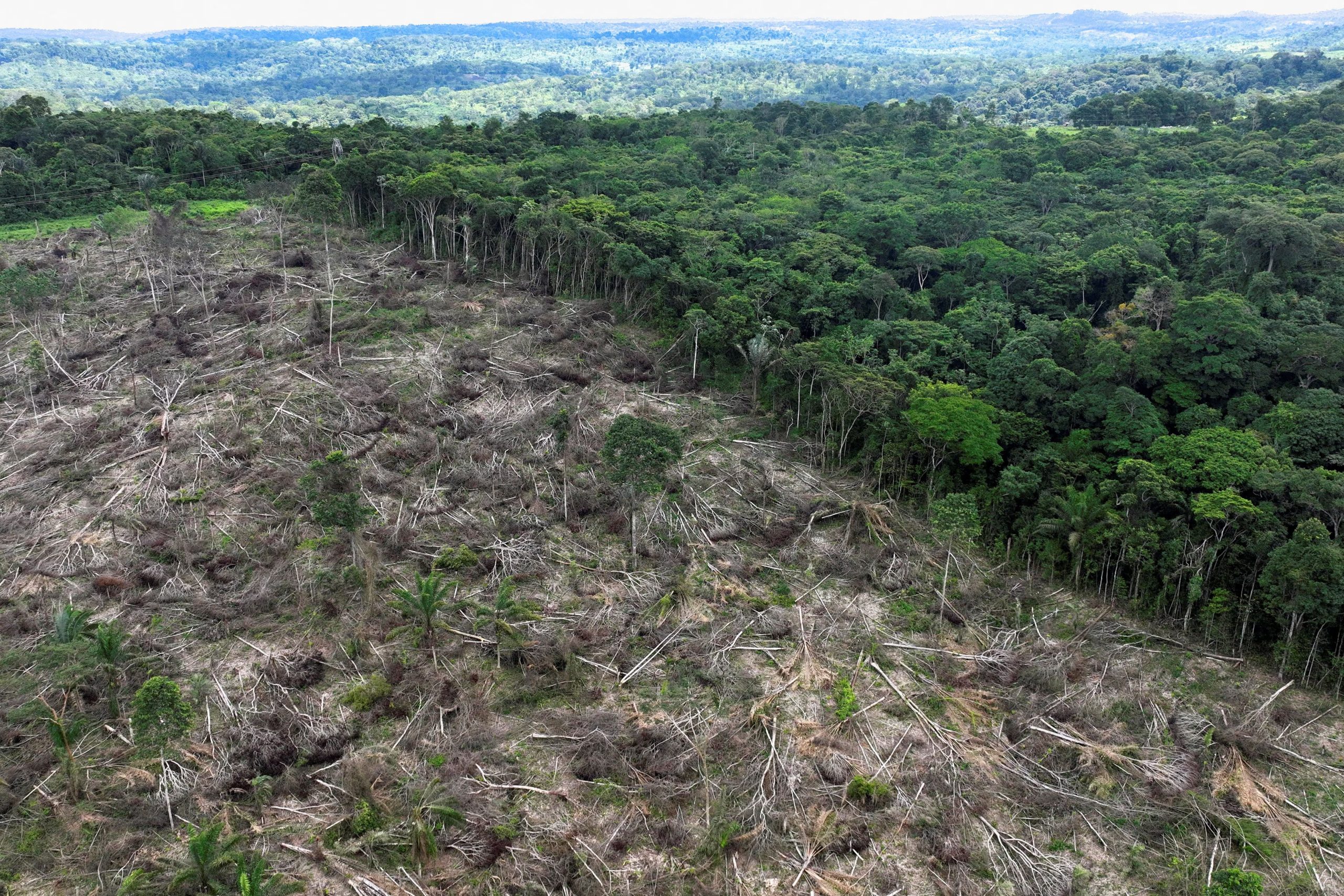 La deforestación en la Amazonía brasileña cayó a 3.335 kilómetros cuadrados entre 2025 y 2026, la cifra anual más baja desde 1988 (Reuters)