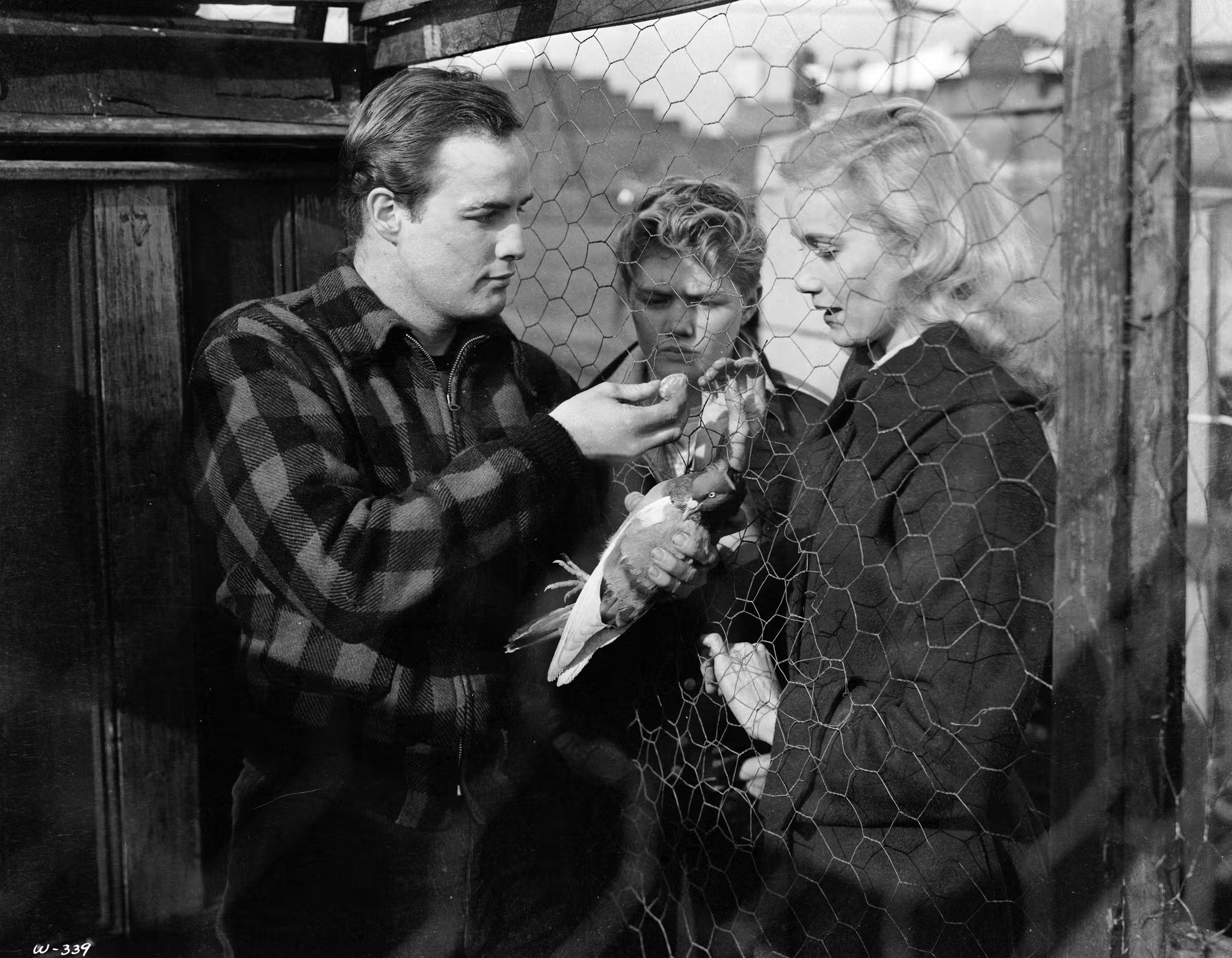 Eva Marie Saint junto a Marlon Brando en 'La ley del silencio', de Elia Kazan, su primera película y por la que ganaría el Oscar.