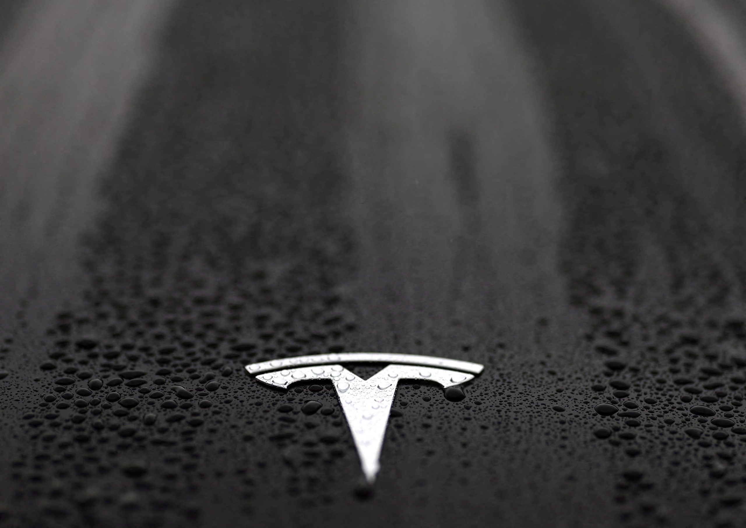 Tesla intentó en reiteradas ocasiones reducir la intensidad del examen al que la sometió el regulador neerlandés RDW.

REUTERS/Yves Herman 