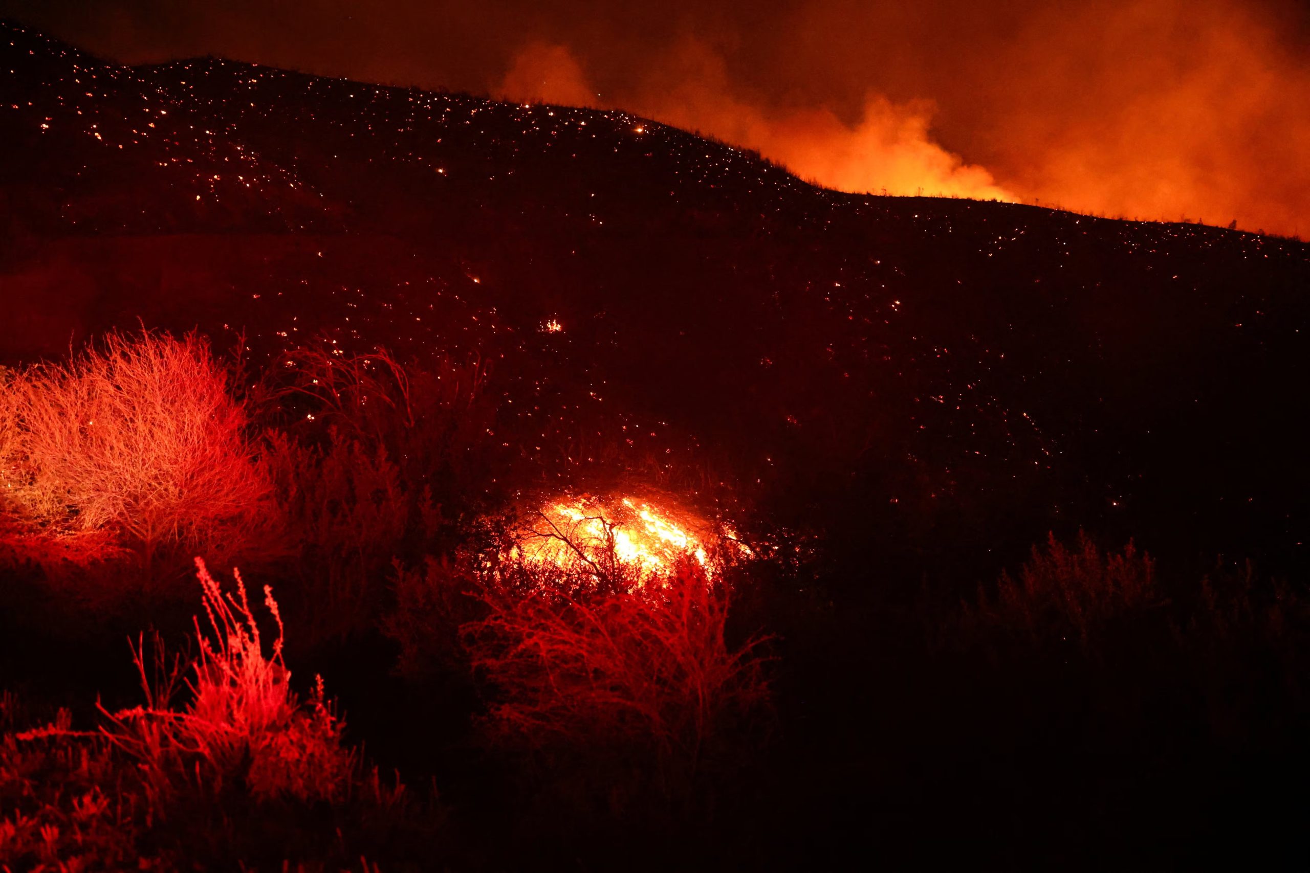 Las autoridades habilitaron refugios para personas y animales en Agoura Hills a causa del Bryson Fire en Malibu. (REUTERS/David Swanson)