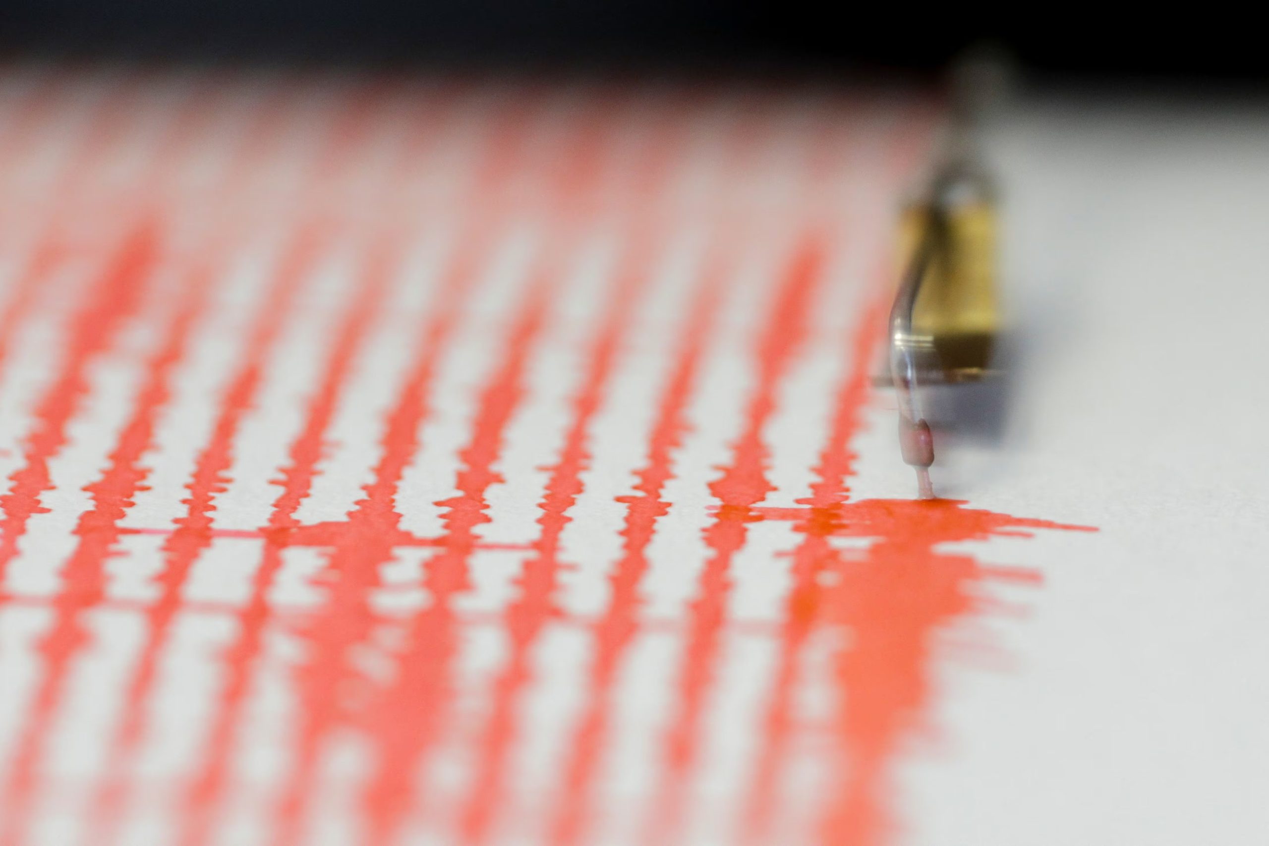 Una adolescente creó un sismógrafo aprendiendo sobre electrónica y programación. Octav Ganea vía REUTERS.