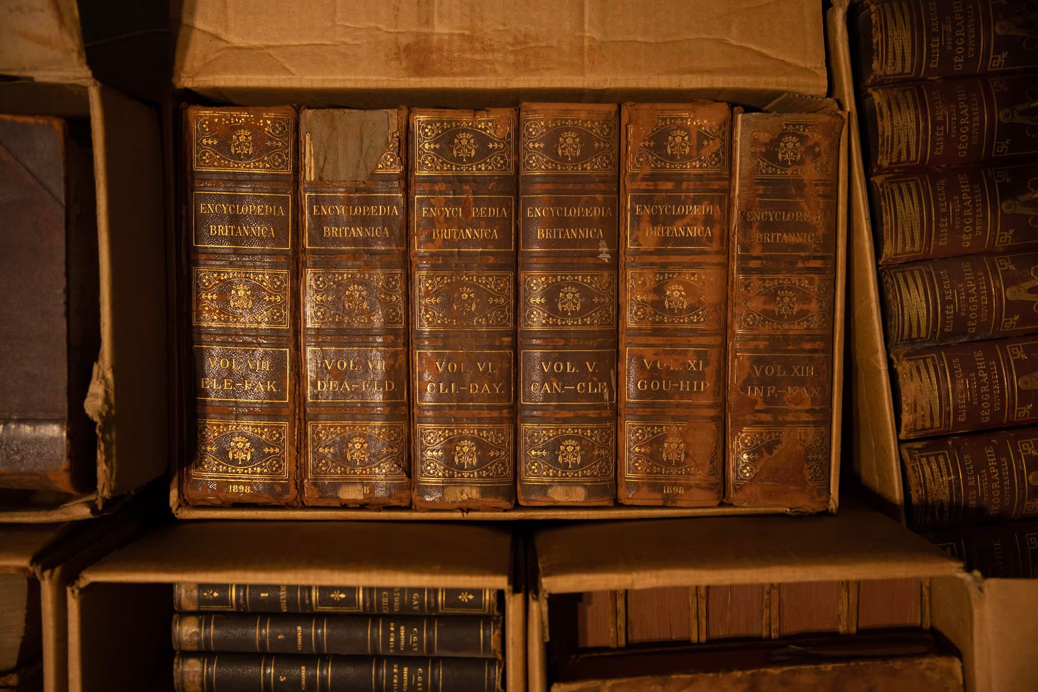 La historia de origen de Wikipedia tiene como antecedente el formato que sustituyó: las enciclopedias impresas de tapa dura, con bordes dorados y precios exorbitantes (foto: cortesía de María José Micale)